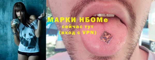 a pvp Бородино