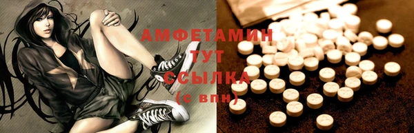 a pvp Бородино