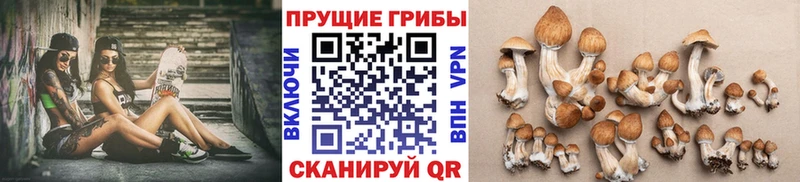Псилоцибиновые грибы Magic Shrooms  Нестеров 