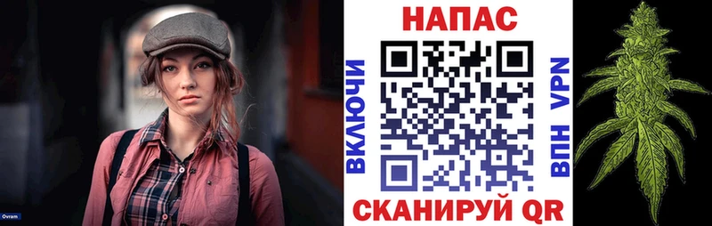 Бошки Шишки планчик Нестеров